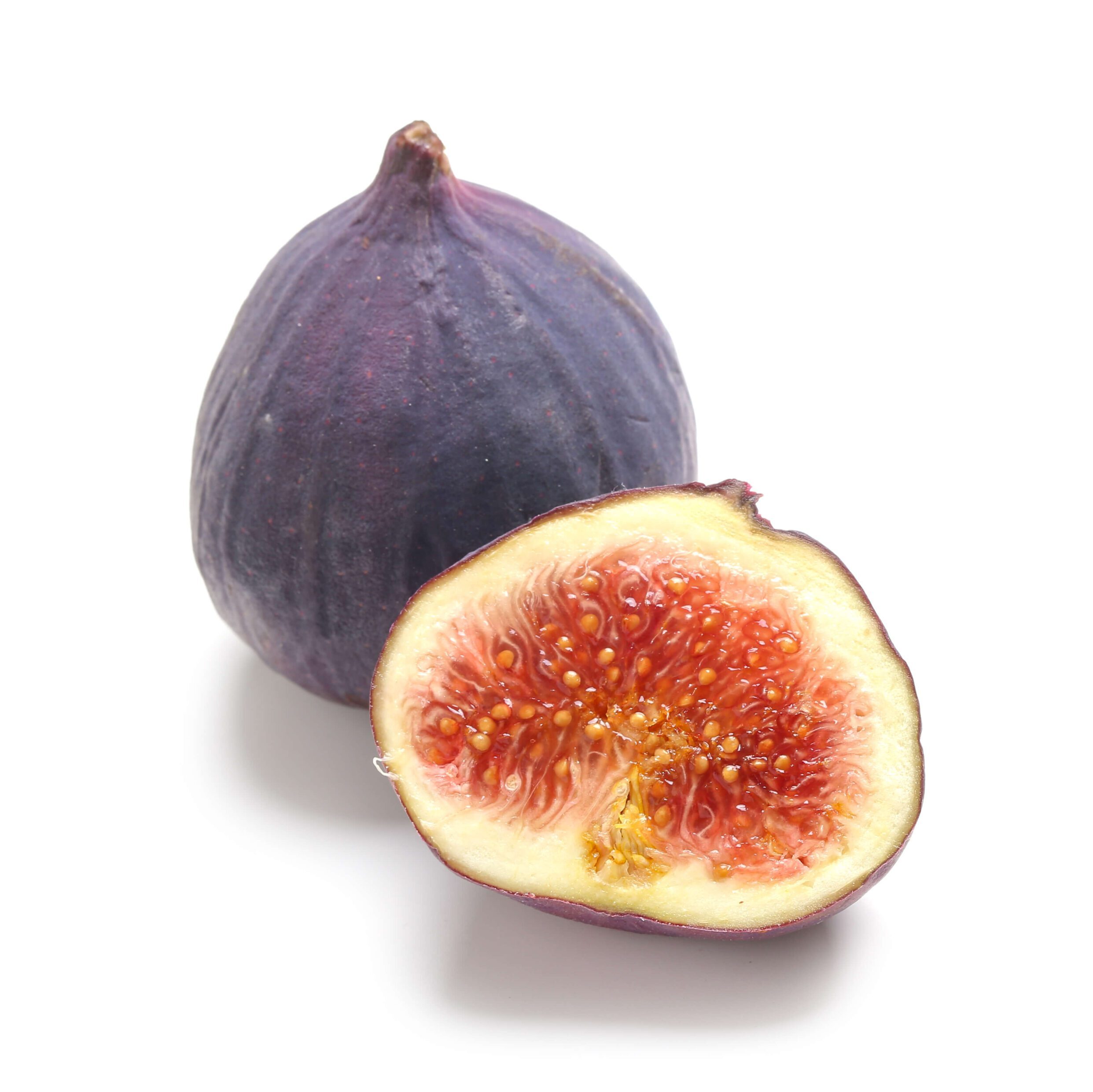 fig1